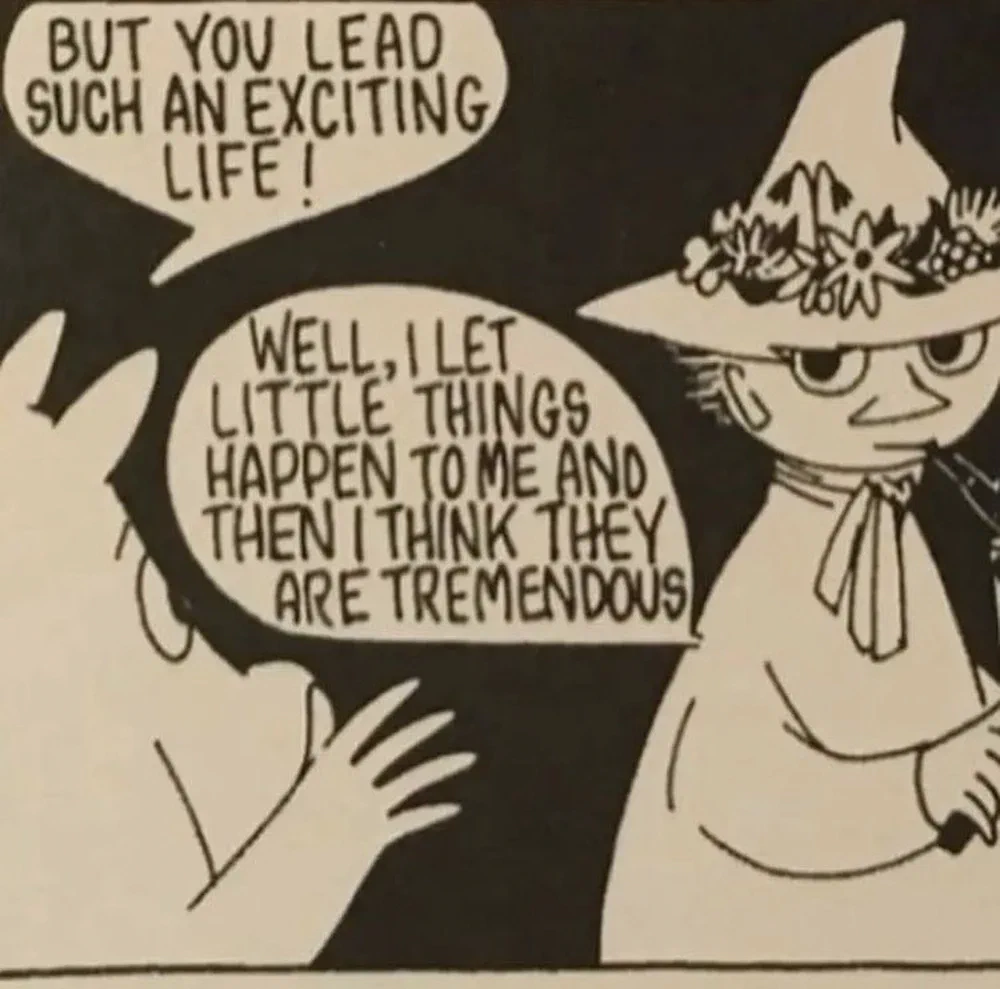 Moomin Comic Strip Panel featuring Snufkin
